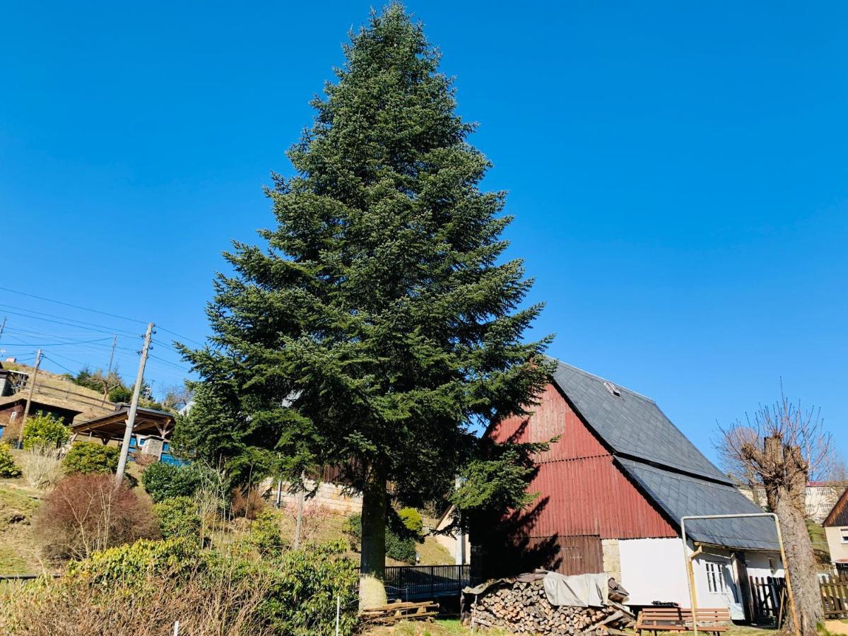 Naturhof Kluge Saupsdorf Buitenkant foto