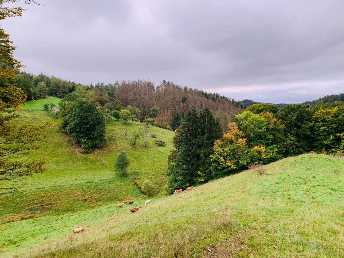 Naturhof Kluge Saupsdorf Buitenkant foto