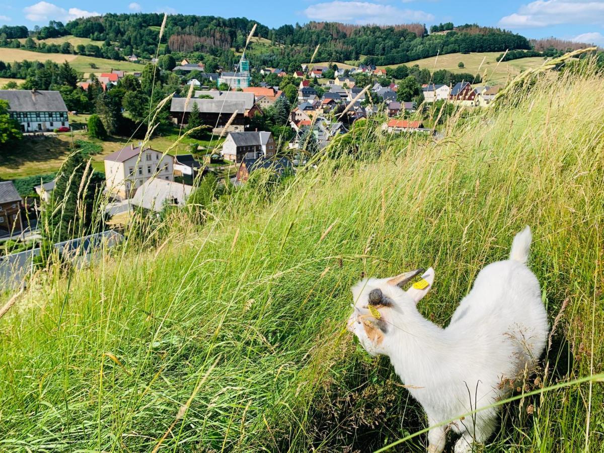 Naturhof Kluge Saupsdorf Buitenkant foto